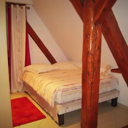 Bel De Charme De 70m² Appartement Thannenkirch