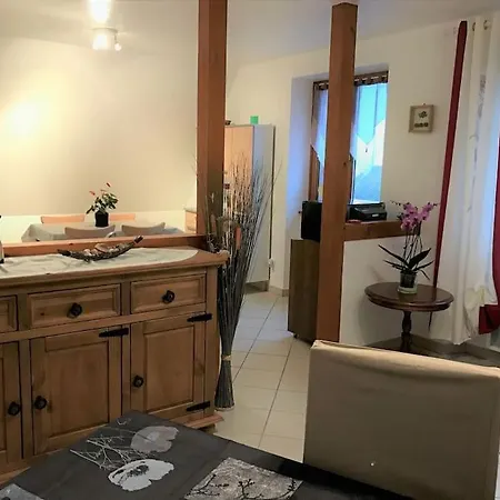 Bel De Charme De 70m² * Thannenkirch