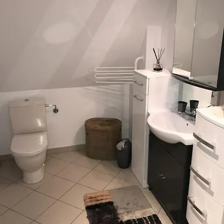 Bel De Charme De 70m² * Thannenkirch