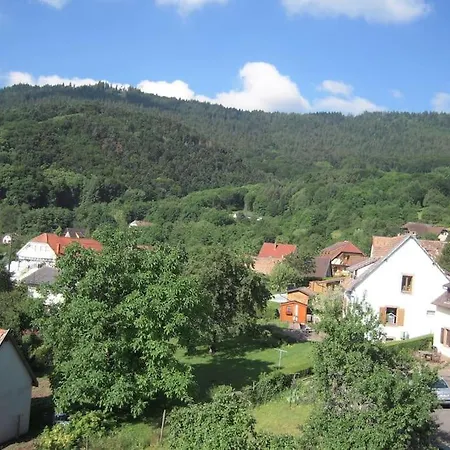 Appartement Bel De Charme De 70m² Thannenkirch