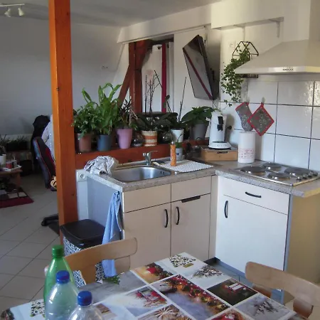 Bel De Charme De 70m² Thannenkirch