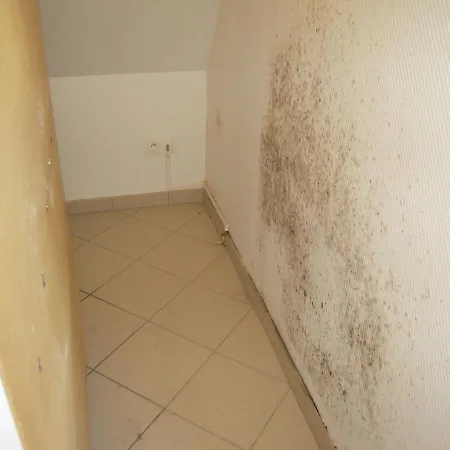 Bel De Charme De 70m² Appartement Thannenkirch