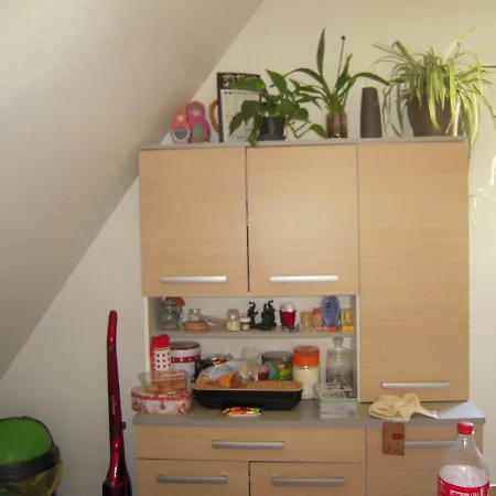 Bel De Charme De 70m² Thannenkirch